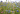 Blomstermarksfrø Blå Hav Blanding (0,5 kg)